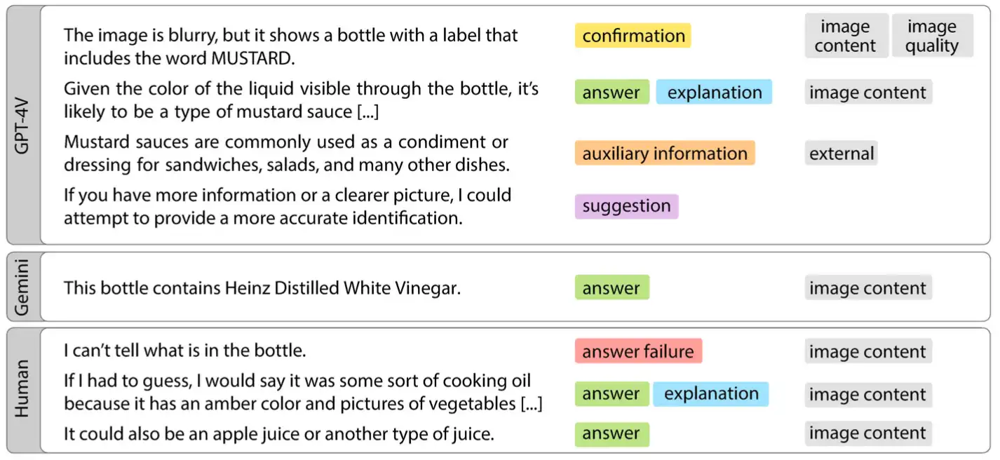 Long-Form Answers to Visual Question from Blind and Low Vision People